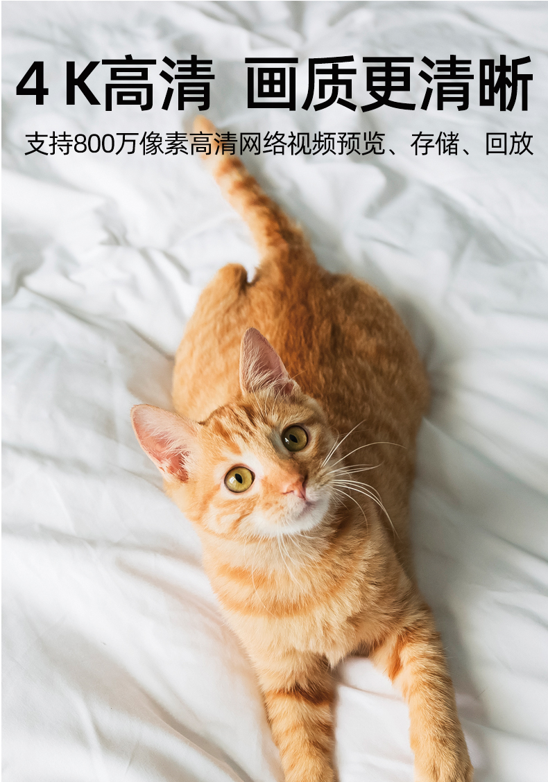 O1CN01rRVqhW1BsxLJNvGLz_!!3784610002.jpg